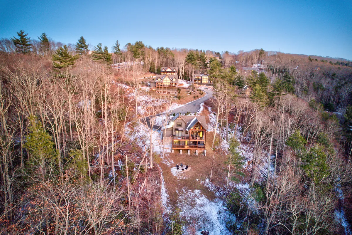 An inviting exterior shot of a wooden cabin set in a natural, wooded landscape. The image features a fire pit area surrounded by trees and a winding road, suggesting an outdoor gathering space perfect for relaxing with pets. The setting is tranquil and spacious, ideal for letting dogs play or resting together after a hike.